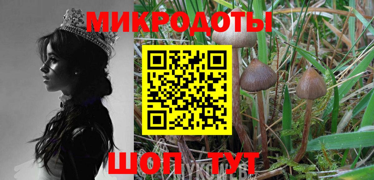 Галлюциногенные грибы прущие грибы  Галлюциногенные грибы ЛСД  Воткинск  Вход с VPN 